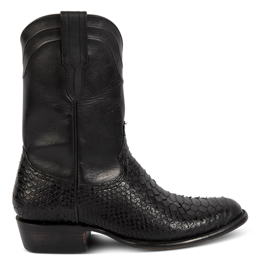 Alamo - Black Python