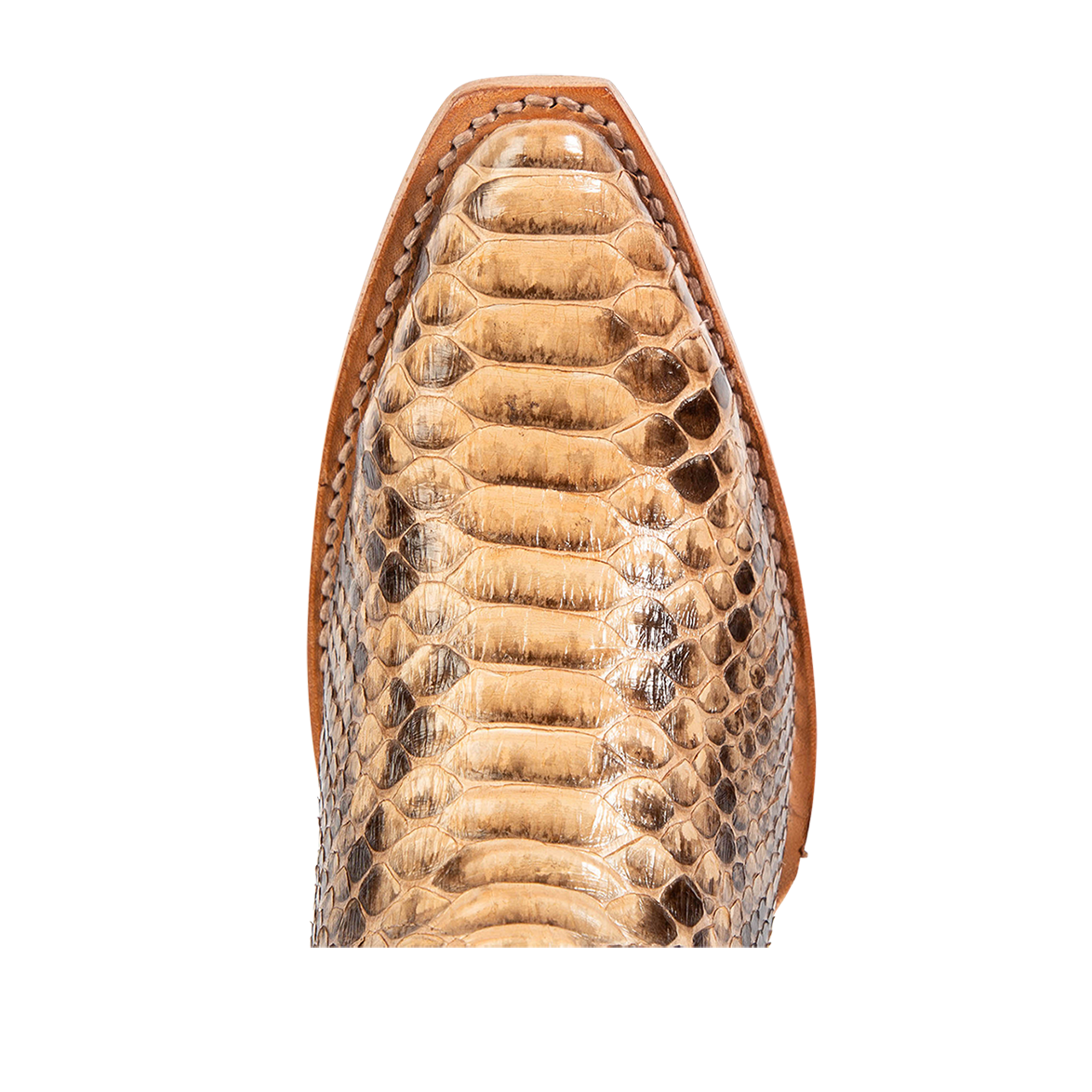 Top view showing snip toe construction with stitch detailing on FREEBIRD women's Woodland beige python multi leather boot