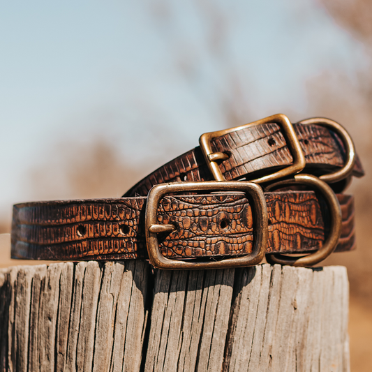 FREEBIRD brown distressed leather dog collar with an adjustable neck strap