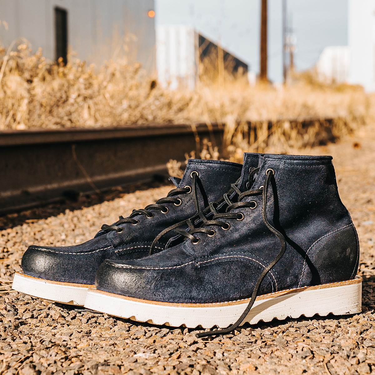 Freebird sneakers 2025