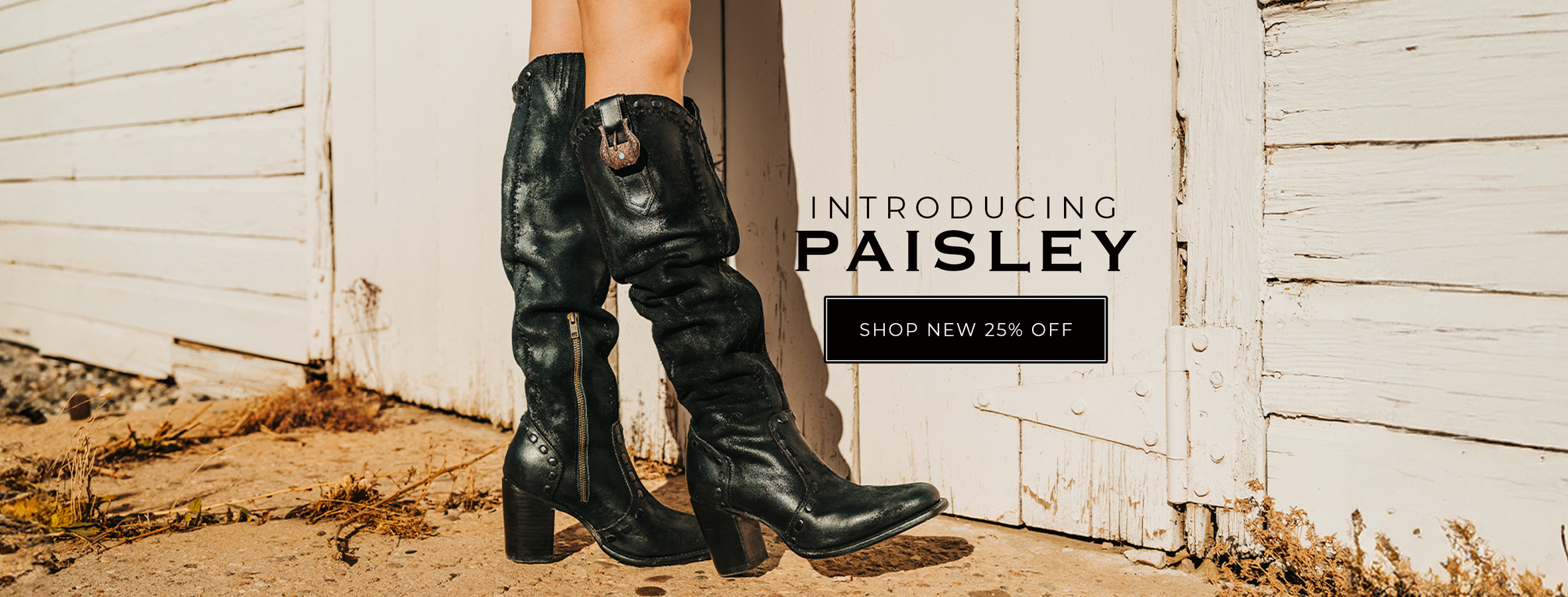 paisley womens tall heeled suede boot black suede