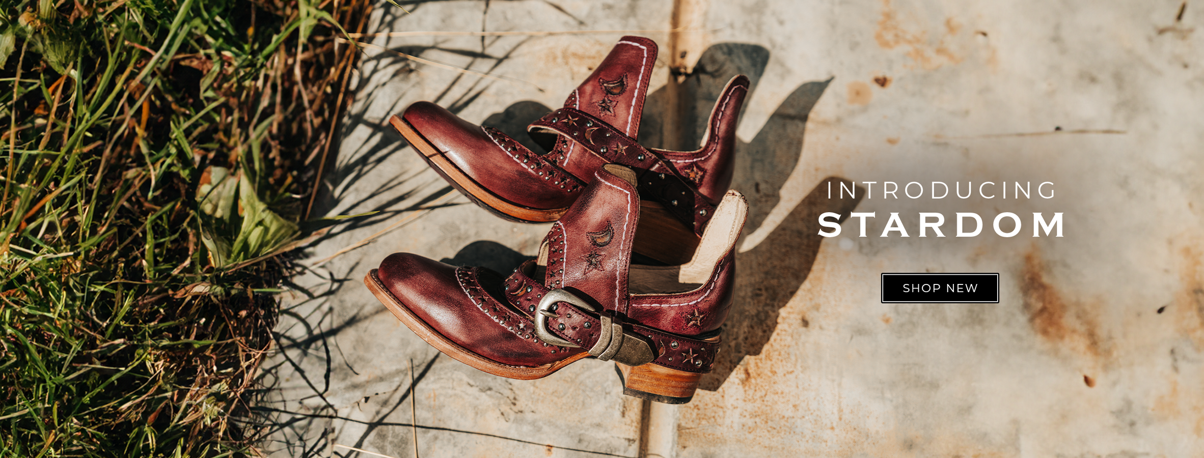 stardom womens star exclusive western bootie wine
