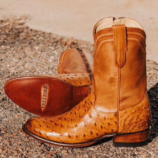 freebird Alamo Canary Ostrich Cheap Sale Black Friday Shoes