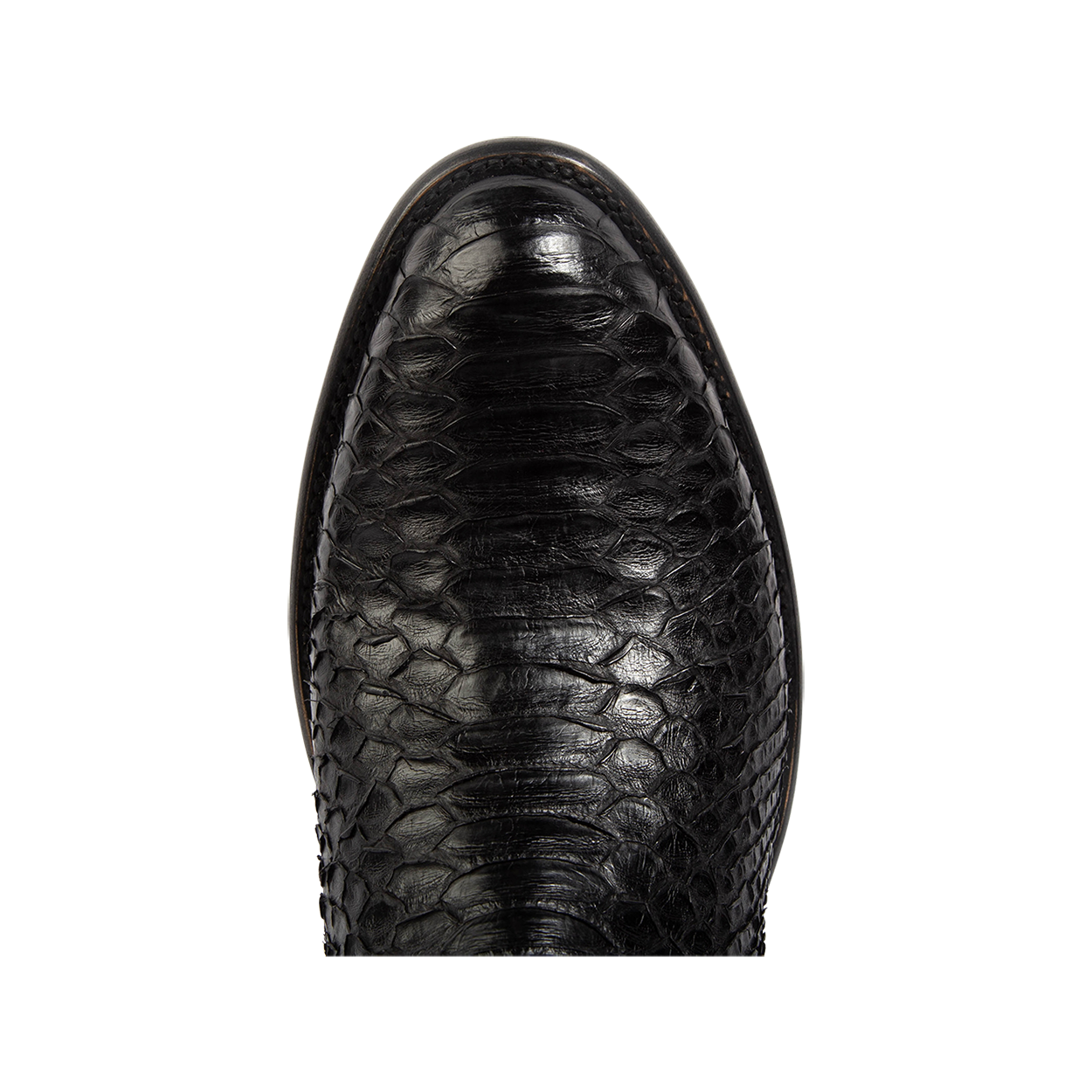 Top view showing genuine python scales and an almond toe on FREEBIRD men's Alamo black python cowboy boot