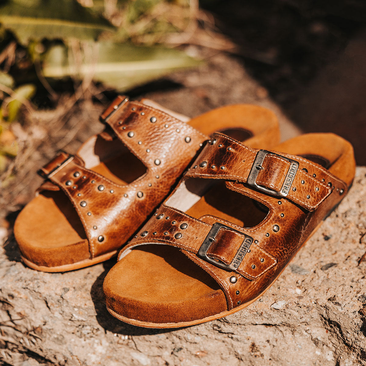 FREEBIRD women's Asher wheat leather sandal with adjustable belt buckles, a suede footbed and silver embellishments