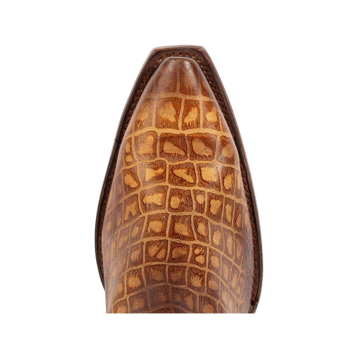 Top view showing snip toe construction on Freebird women's BAMBI tan croco multi leather knee high boot 