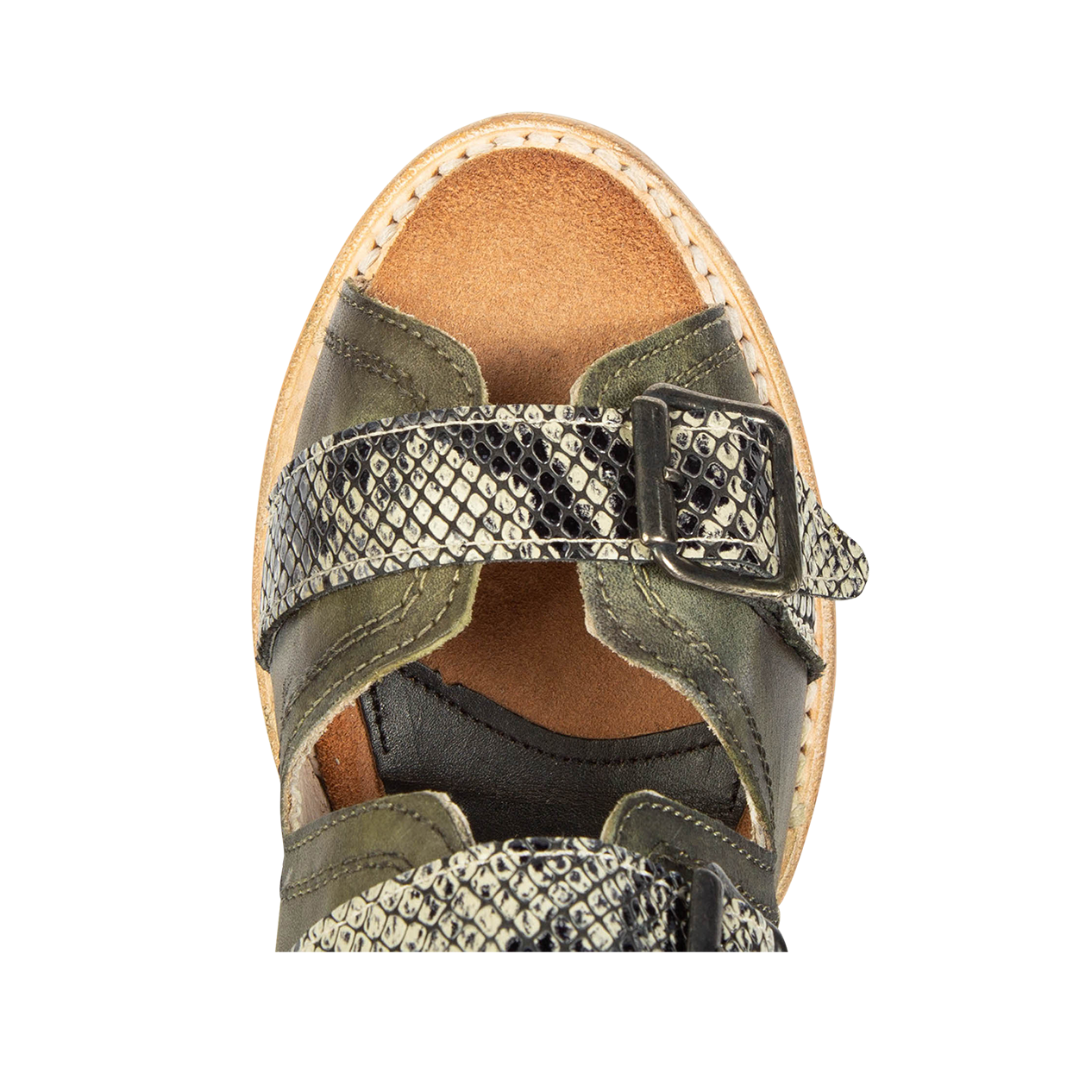 Top view showing leather strap buckle detailing FREEBIRD women's Caprice green snake multi sandal