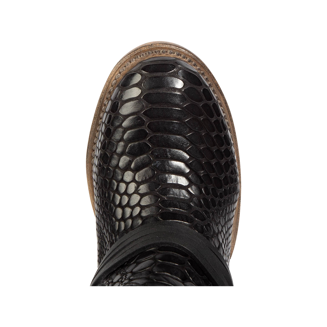 Top view showing round toe and leather ankle lacing on FREEBIRD women's Coal black snake embossed leather tall boot