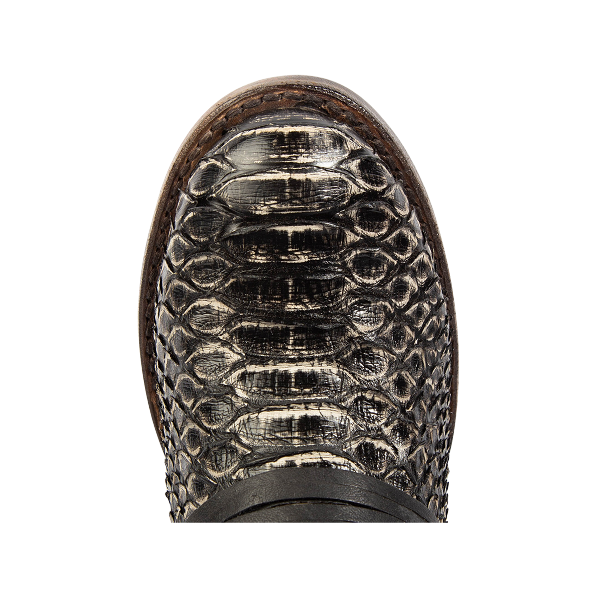 Top view showing round toe and leather ankle lacing on FREEBIRD women's Coal grey python leather tall boot