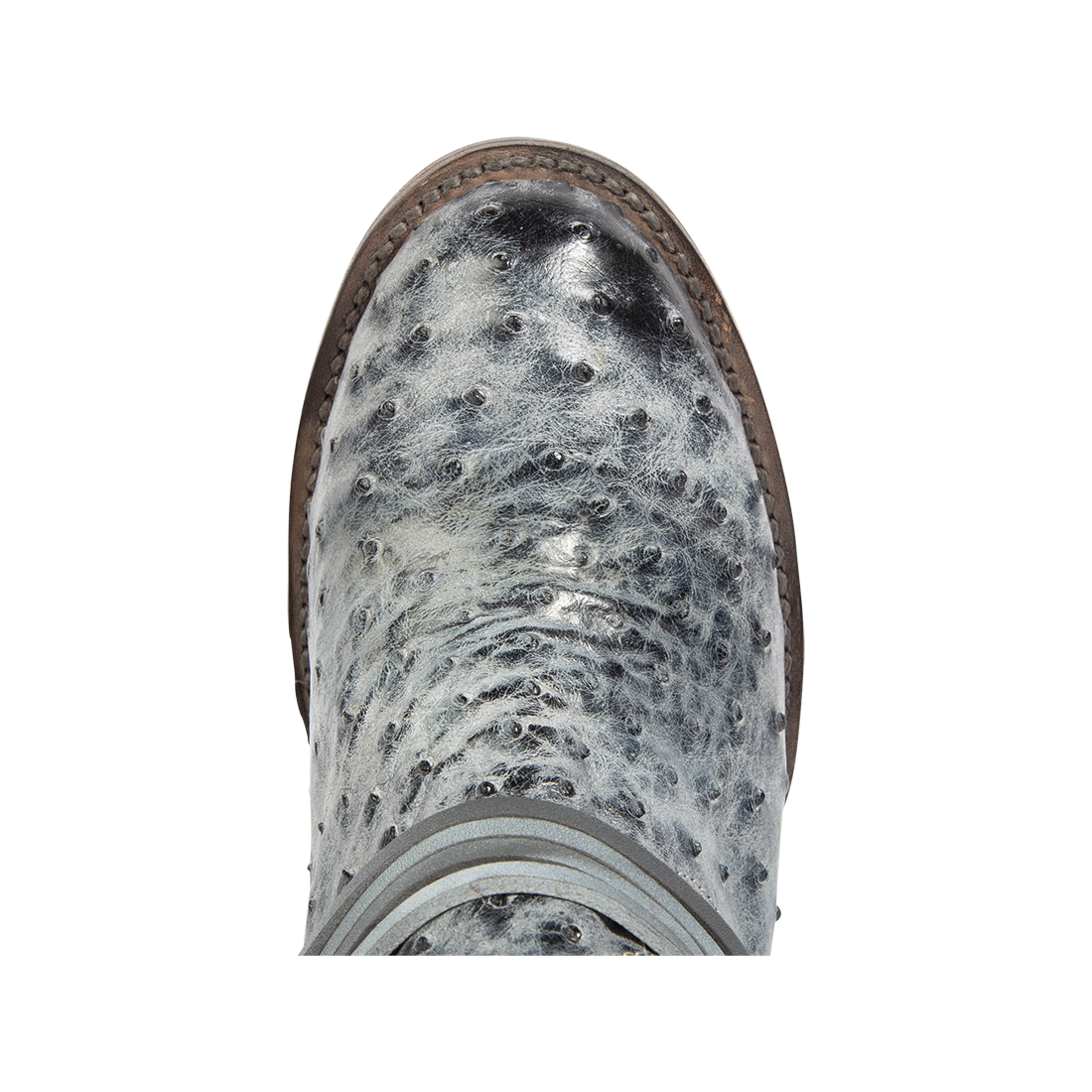 Top view showing round toe and leather ankle lacing on FREEBIRD women's Coal ice ostrich tall boot