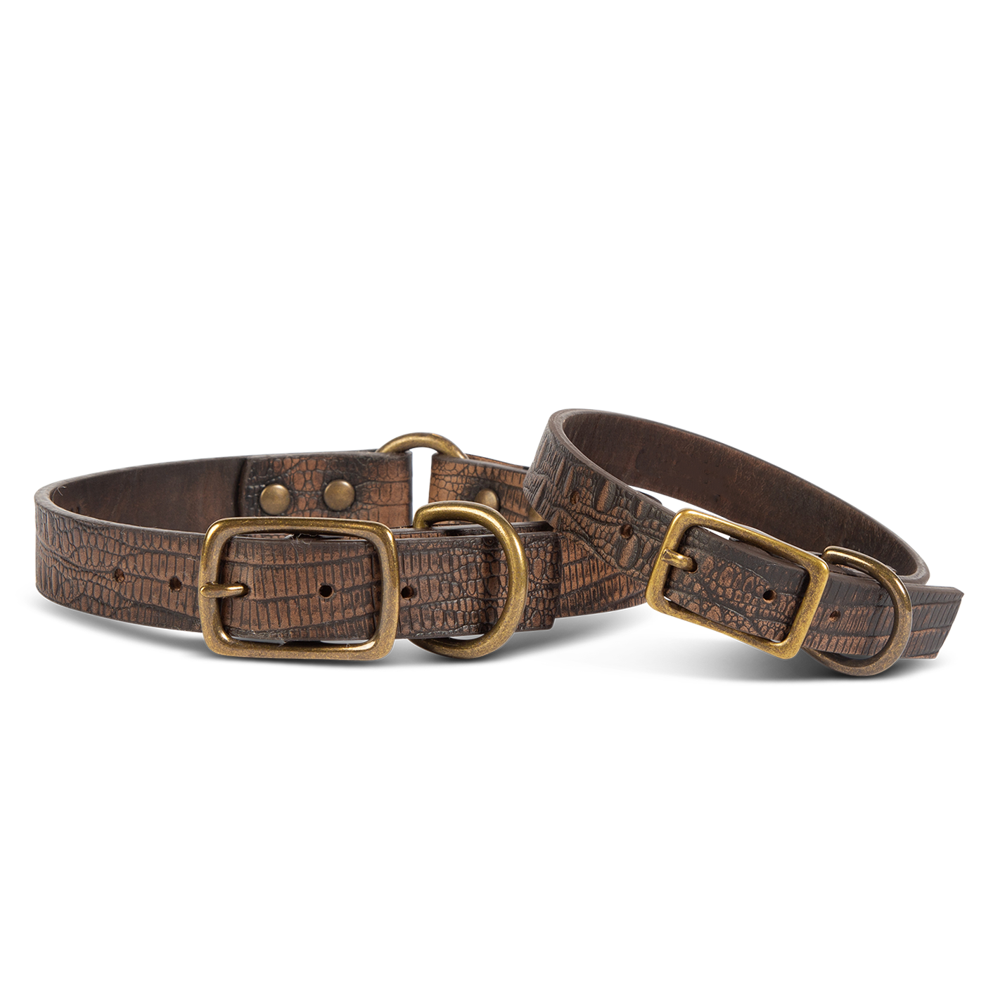 FREEBIRD brown distressed leather dog collar with an adjustable neck strap