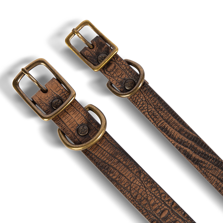 FREEBIRD brown distressed leather dog collar with an adjustable neck strap
