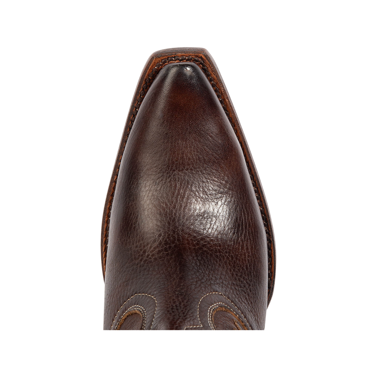 Top view showing a pointed toe on Freebird women's FARRAH brown leather knee-high boot 