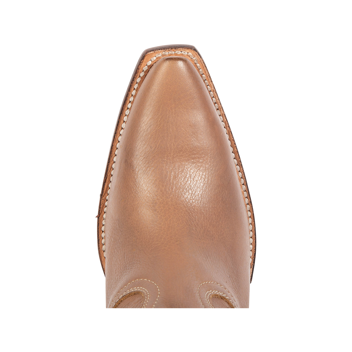 Top view showing a pointed toe on Freebird women's FARRAH clay multi leather knee-high boot 