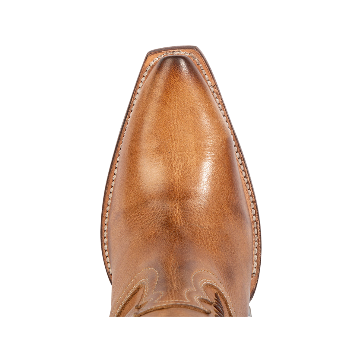 Top view showing a pointed toe on Freebird women's FARRAH tan multi leather knee-high boot 