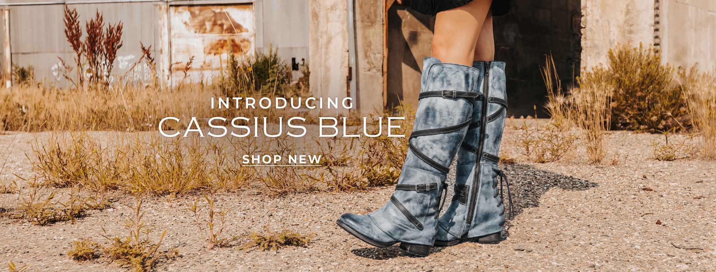 cassius leather wrap womens tall boot blue