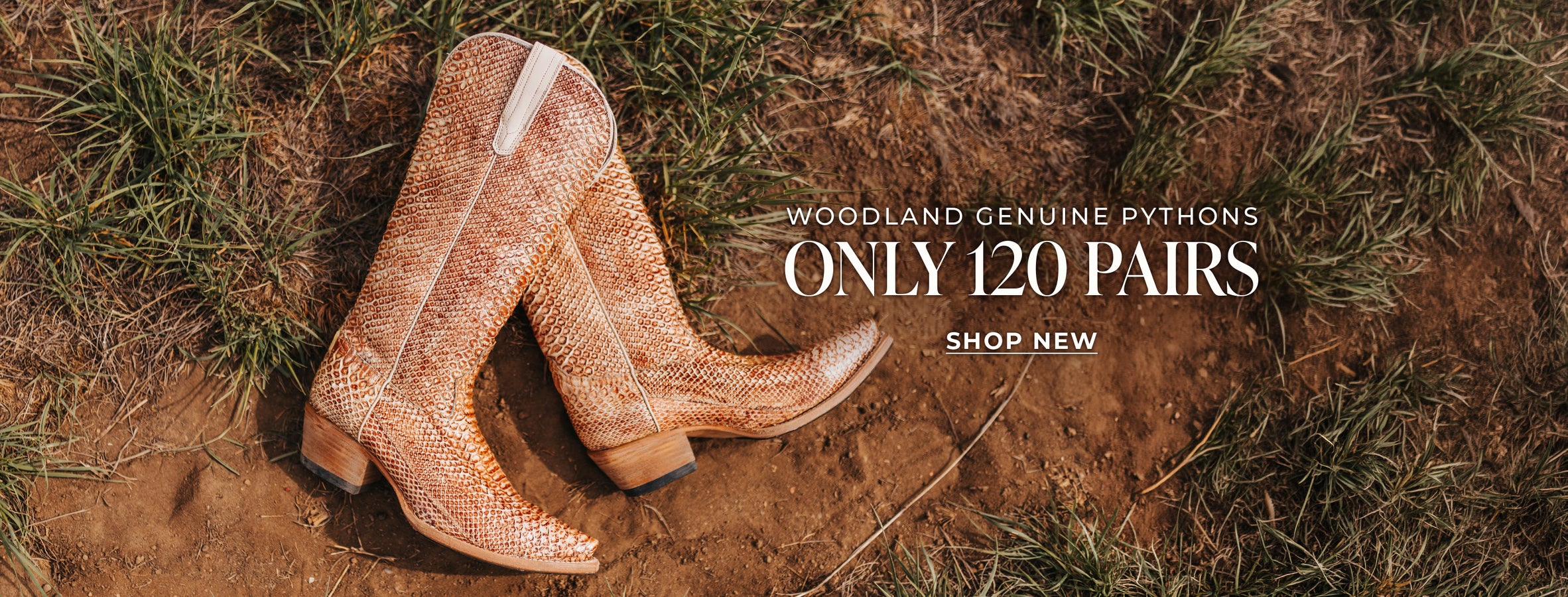 woodland womens exclusive western leather boot beige python