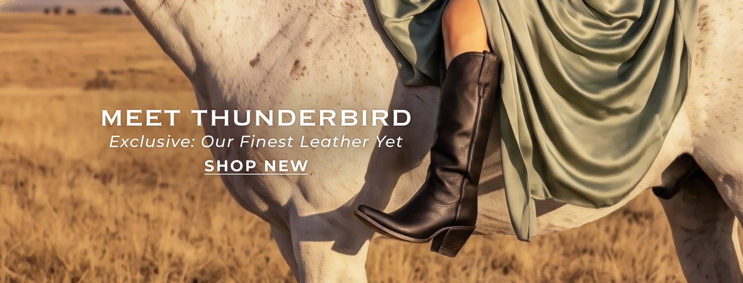 thunderbird exclusive luxe zip up tall leather heeled boot black