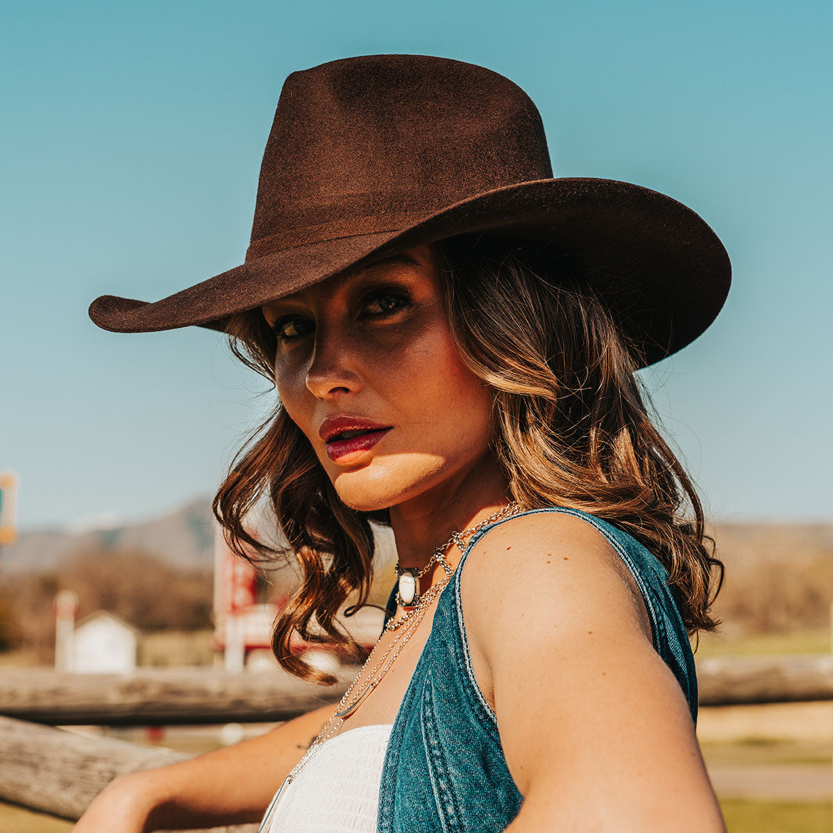 FREEBIRD women's Kolten beige wool hat with a curved brim, front pinch crown and silk bandana interior product 