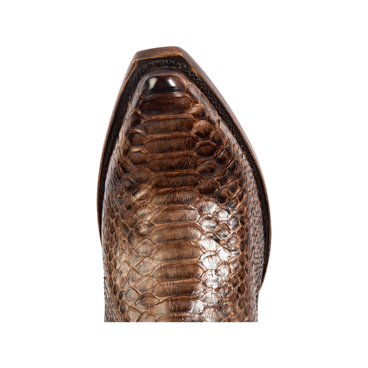 Top view showing snip toe construction and stitch detailing on FREEBIRD men's Marshall brown python leather western cowboy boot