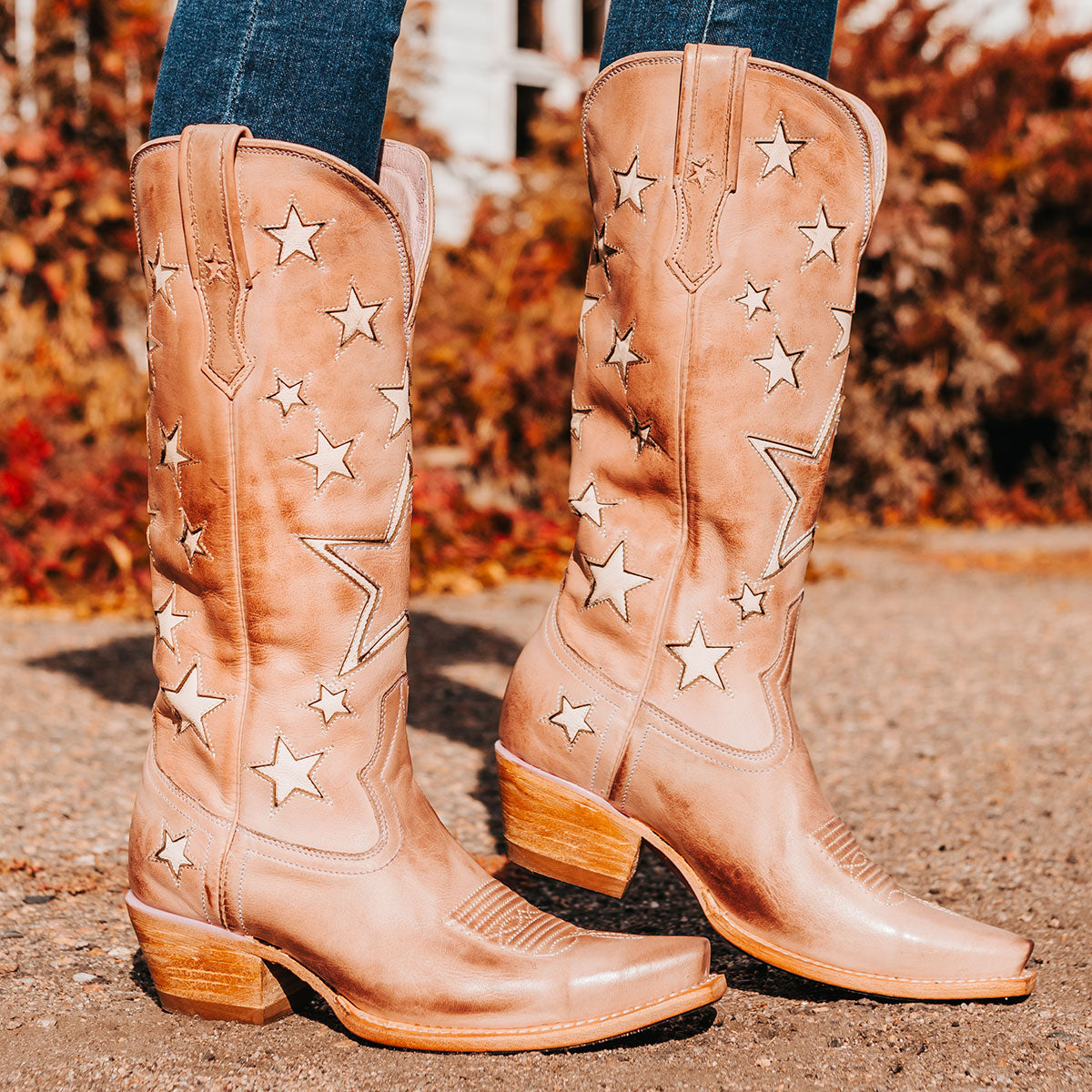 FREEBIRD women's Starzz blush leather cowboy boot with two-toned leather star inlay detailing traditional stitching and snip toe construction