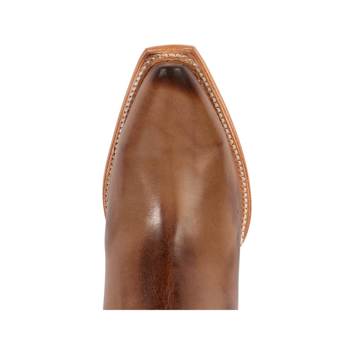 THUNDERBIRD beige leather tall zip-up heeled boots with a sleek pointed toe and modern stiletto heel style.