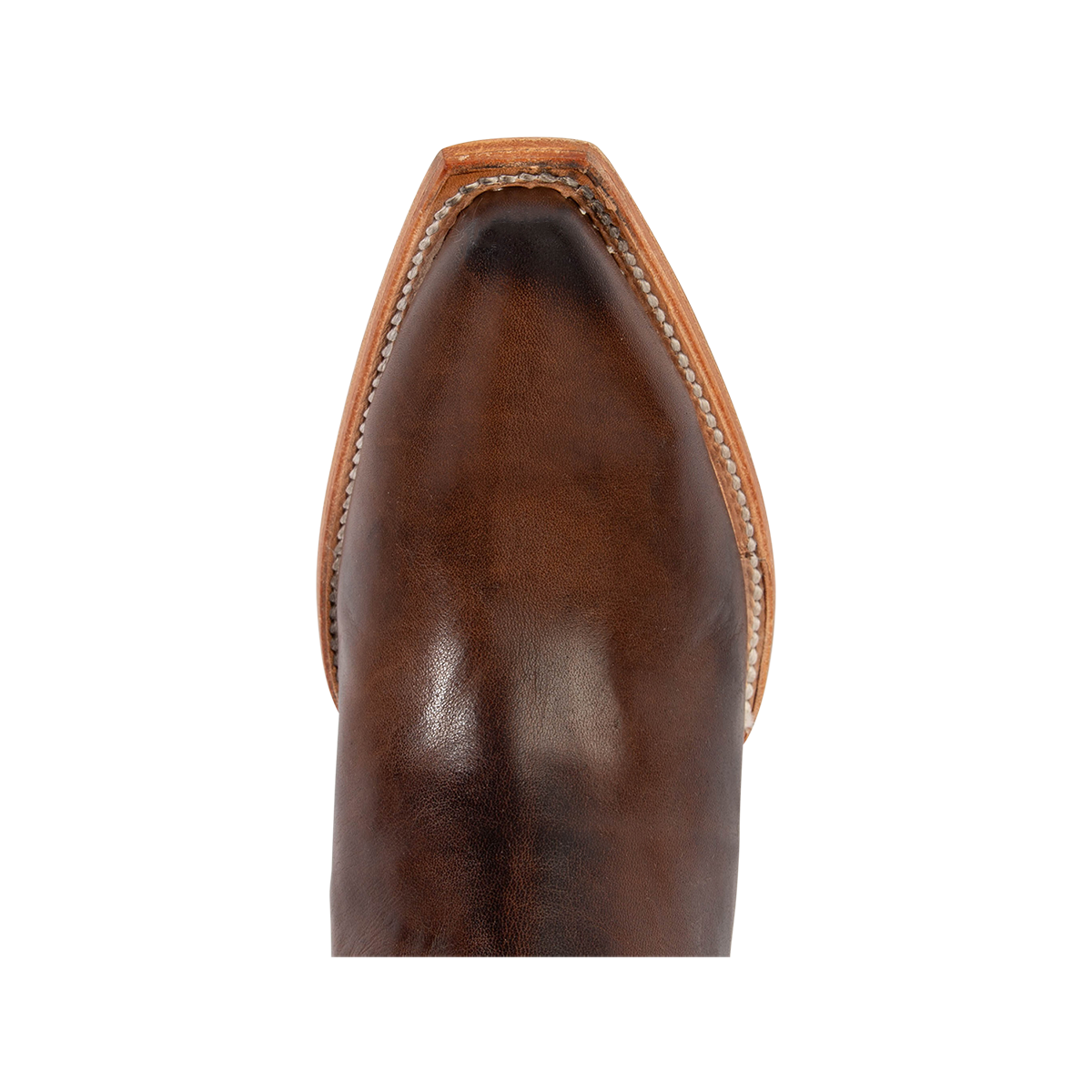 Top view showing snip toe construction on FREEBIRD women's Thunderbird tall leather premium brown boot