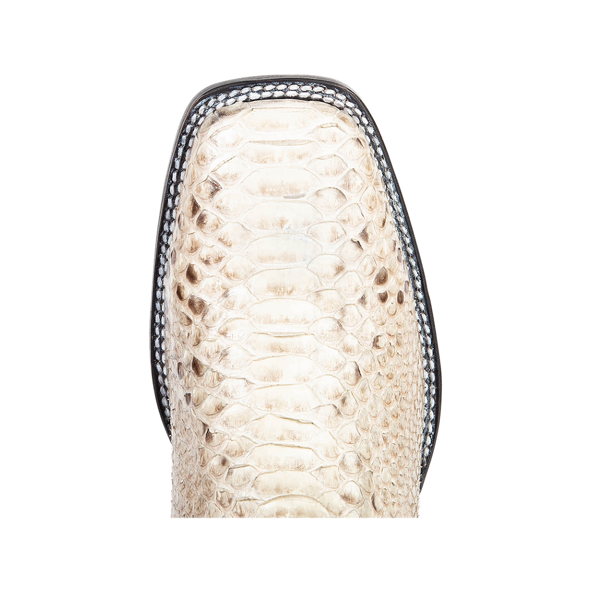 Top view showing square toe construction on FREEBIRD men's Union black/white python leather boot