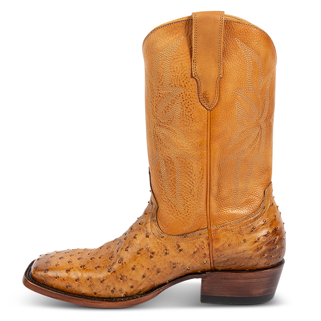 Union - Canary Ostrich