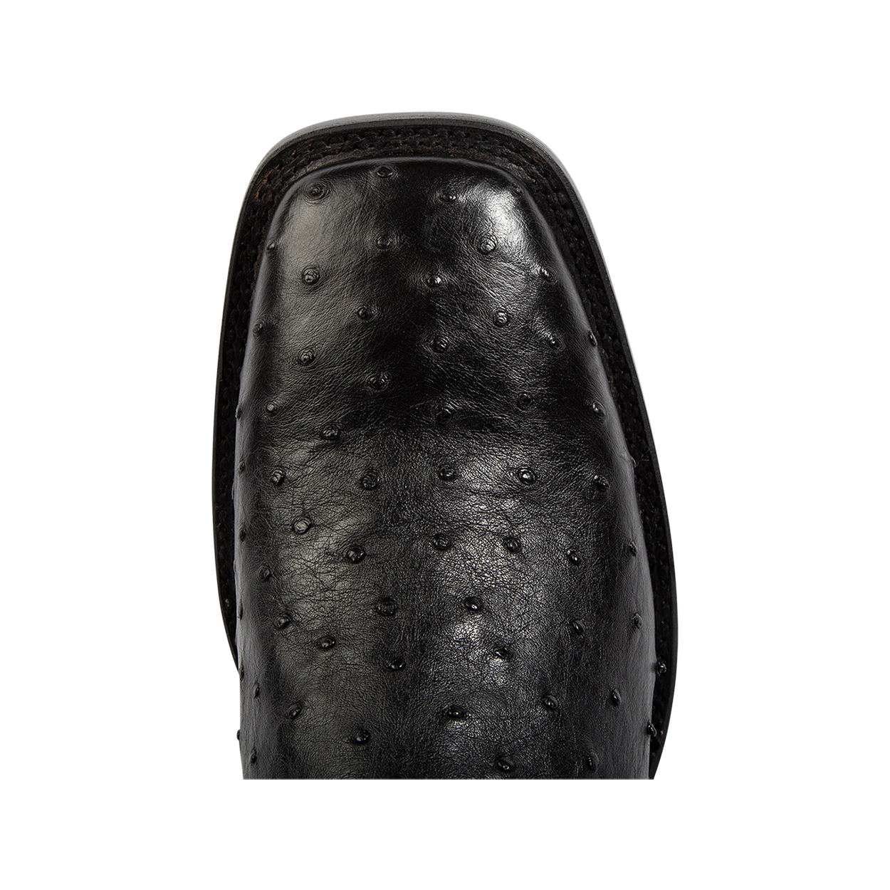 Top view showing square toe construction on FREEBIRD men's Union black ostrich leather boot