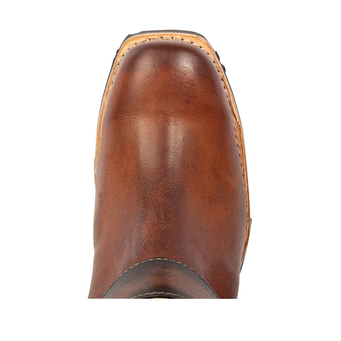 Top view showing square toe on FREEBIRD women's Wagner cognac tall moto boot