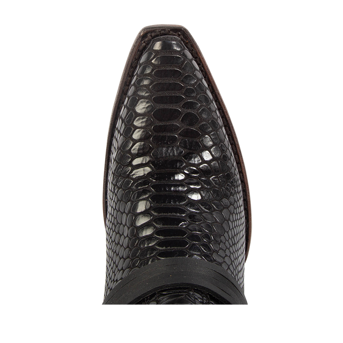 Top view showing snip toe construction on FREEBIRD women's Wardon black snake leather cowboy boot with back lace panel