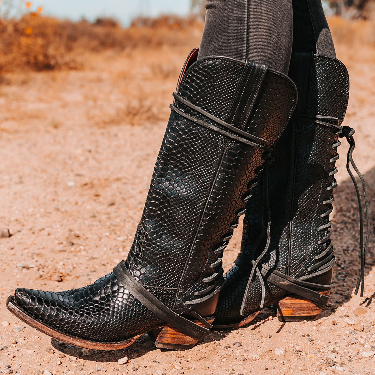 FREEBIRD women's Wardon black snake leather cowboy boot with back lace panel and snip toe construction