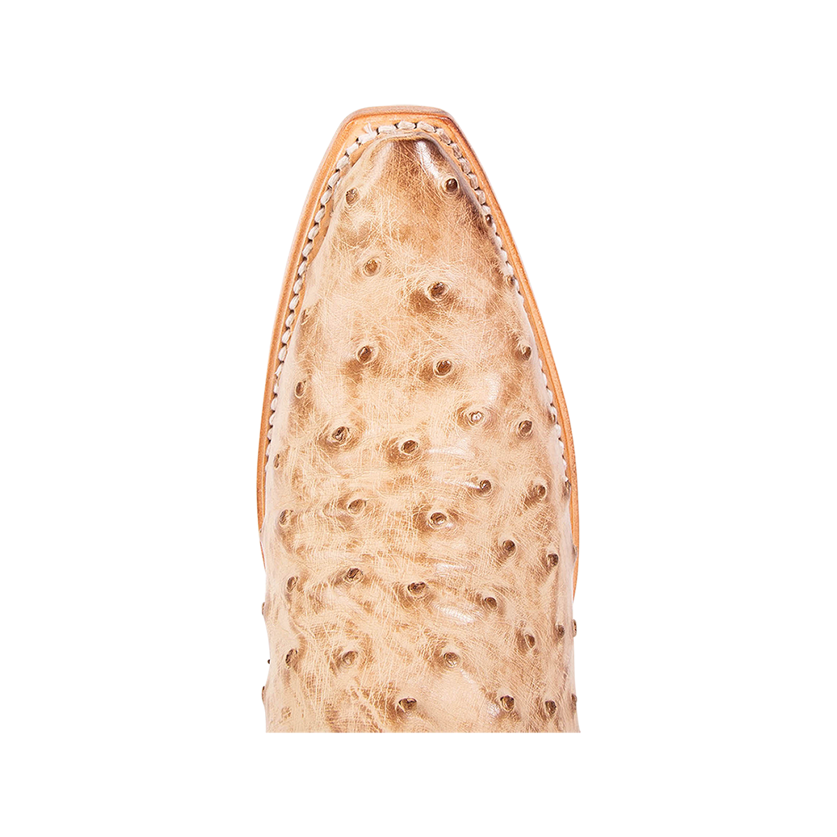 Top view showing snip toe on FREEBIRD women's Weston beige ostrich multi exotic leather mid calf cowgirl mid calf boot