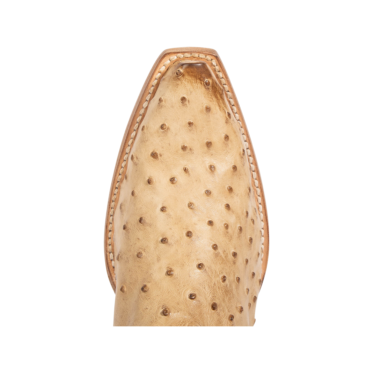 Top view showing snip toe on FREEBIRD women's Weston beige ostrich multi exotic leather mid calf cowgirl mid calf boot