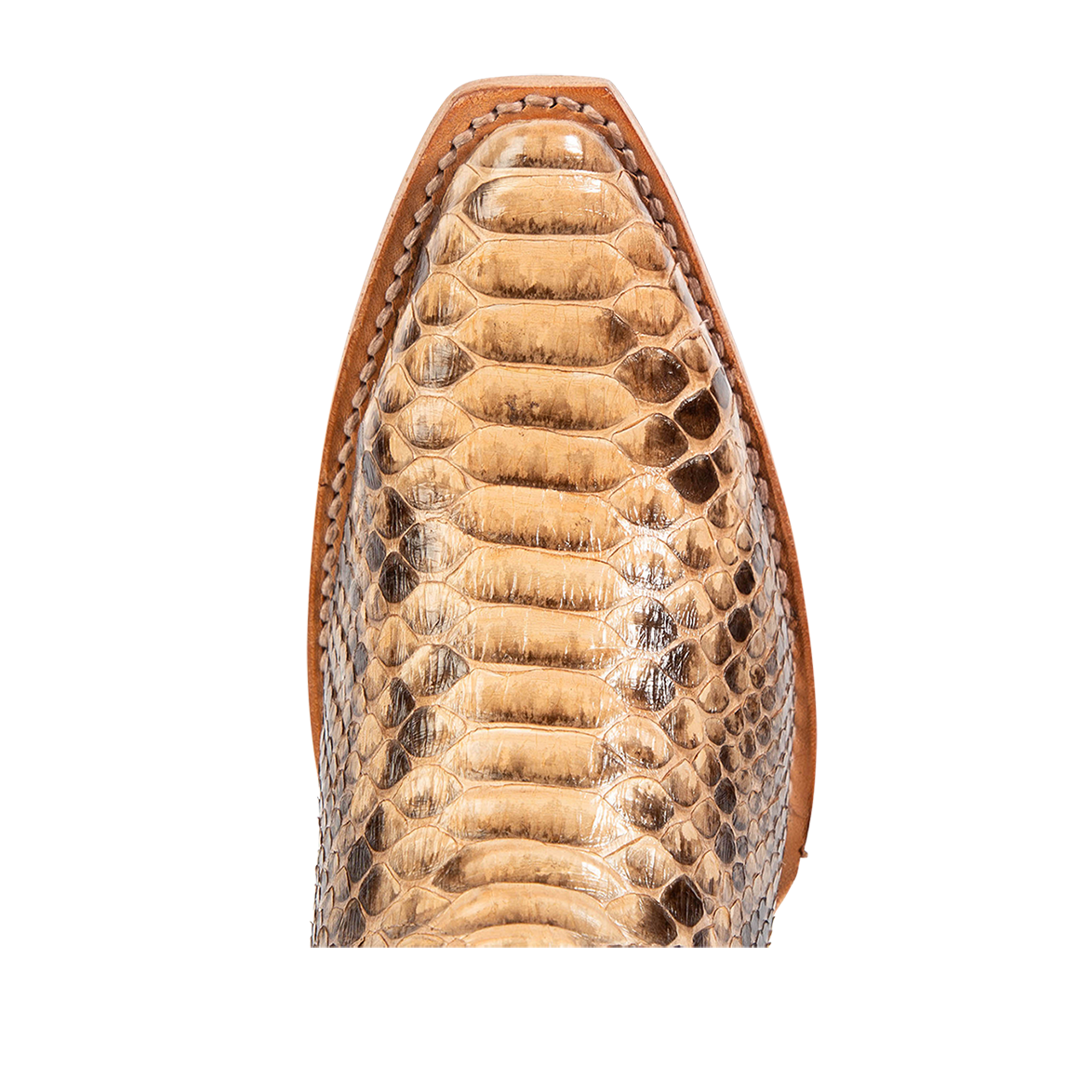 Top view showing snip toe construction with stitch detailing on FREEBIRD women's Woodland beige python multi leather boot 