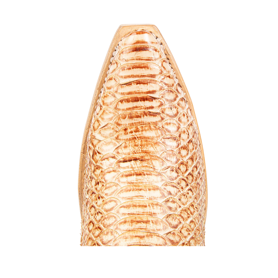 Top view showing snip toe construction with stitch detailing on FREEBIRD women's Woodland beige python leather boot