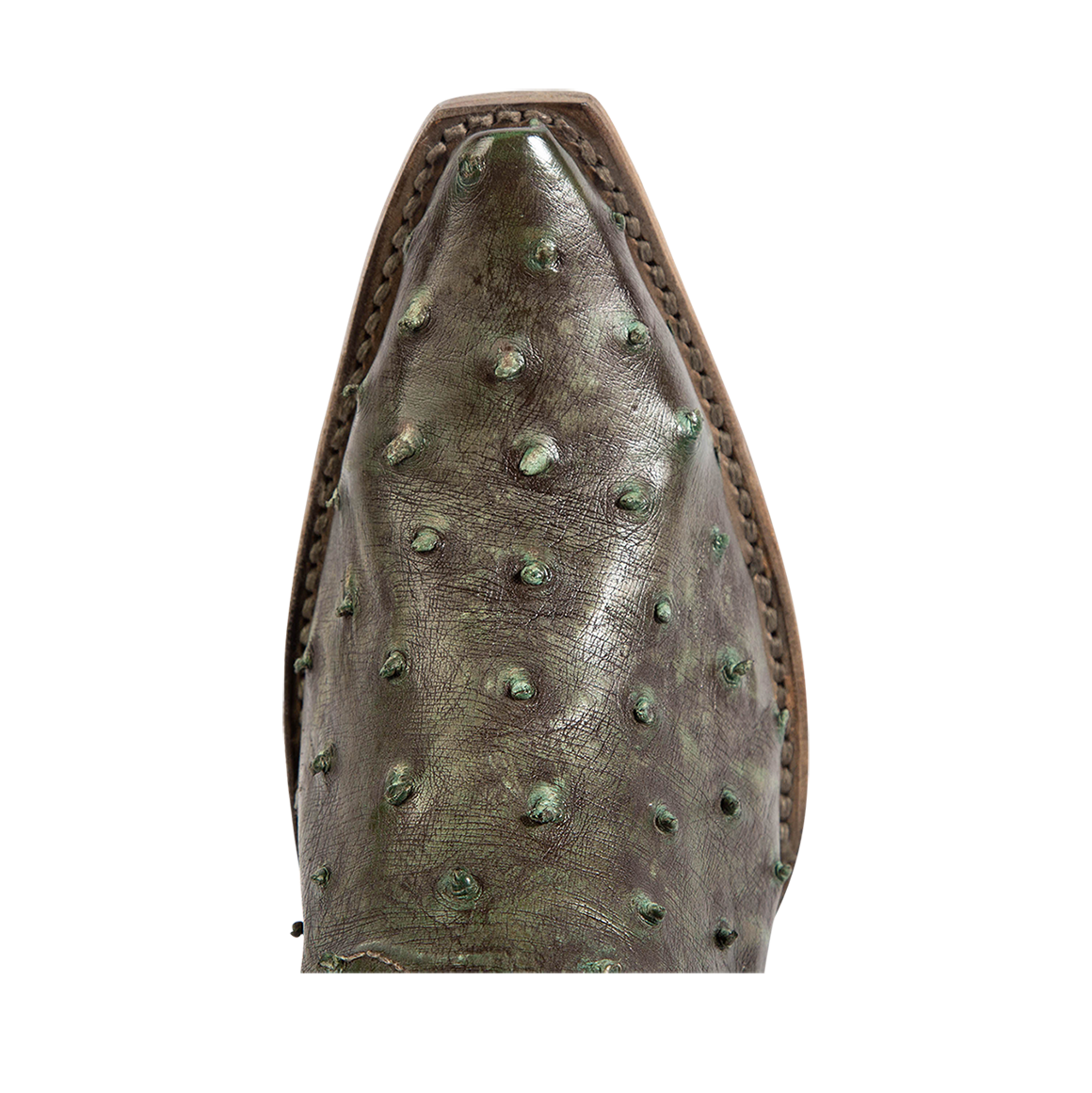 Top view showing snip toe construction with stitch detailing on FREEBIRD women's Woodland green ostrich leather boot