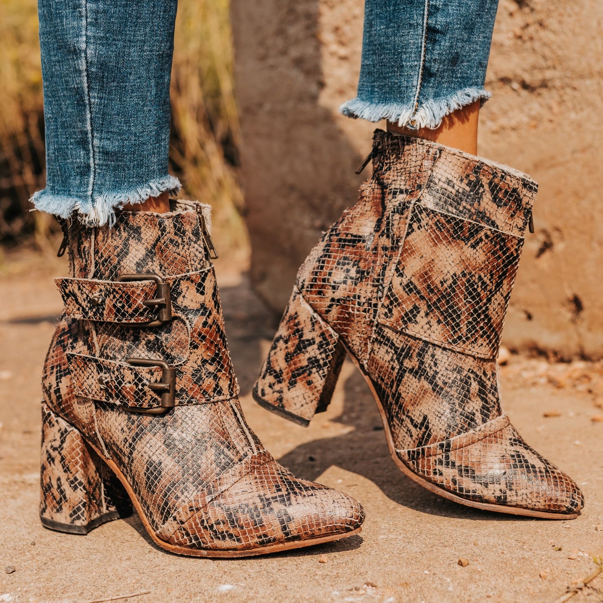 FREEBIRD women's Joey brown snake embossed leather bootie with flare heel and brass buckles
