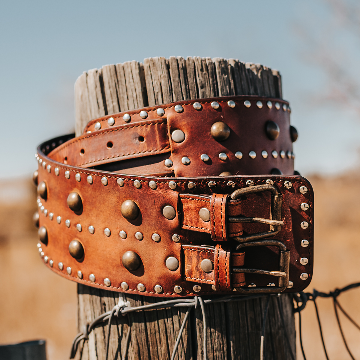 FREEBIRD Aline cognac full grain leather belt featuring rustic stud embellishments and double belt accent