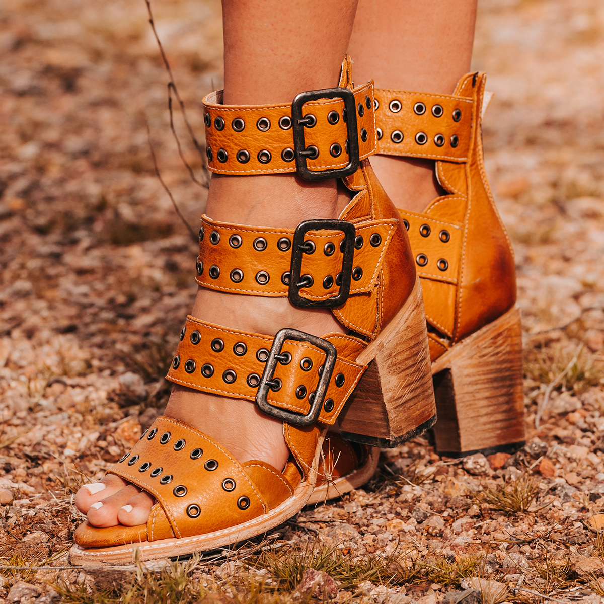 FREEBIRD women's Blake wheat sandal with thick straps, metal eyelets and high-heel
