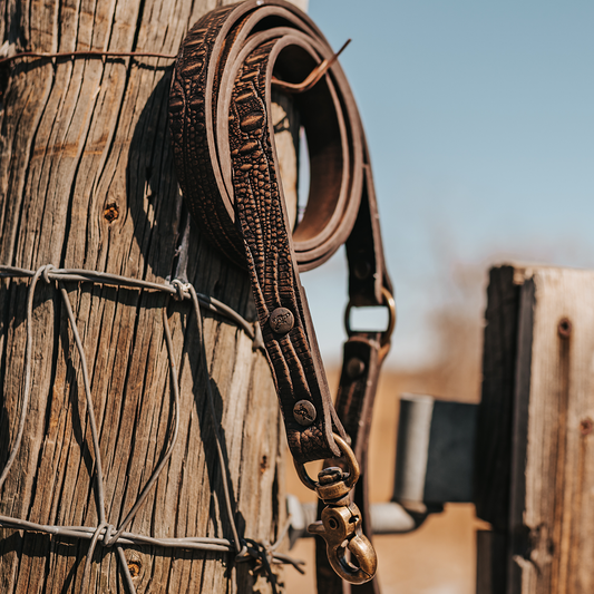 Dog Leash - Brown Distressed