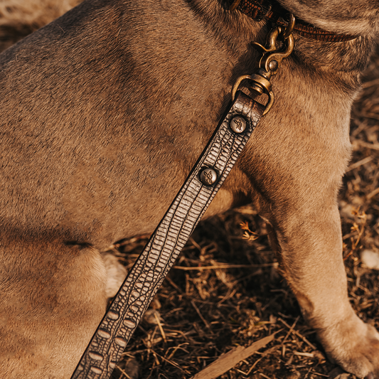 Dog Leash - Brown Distressed