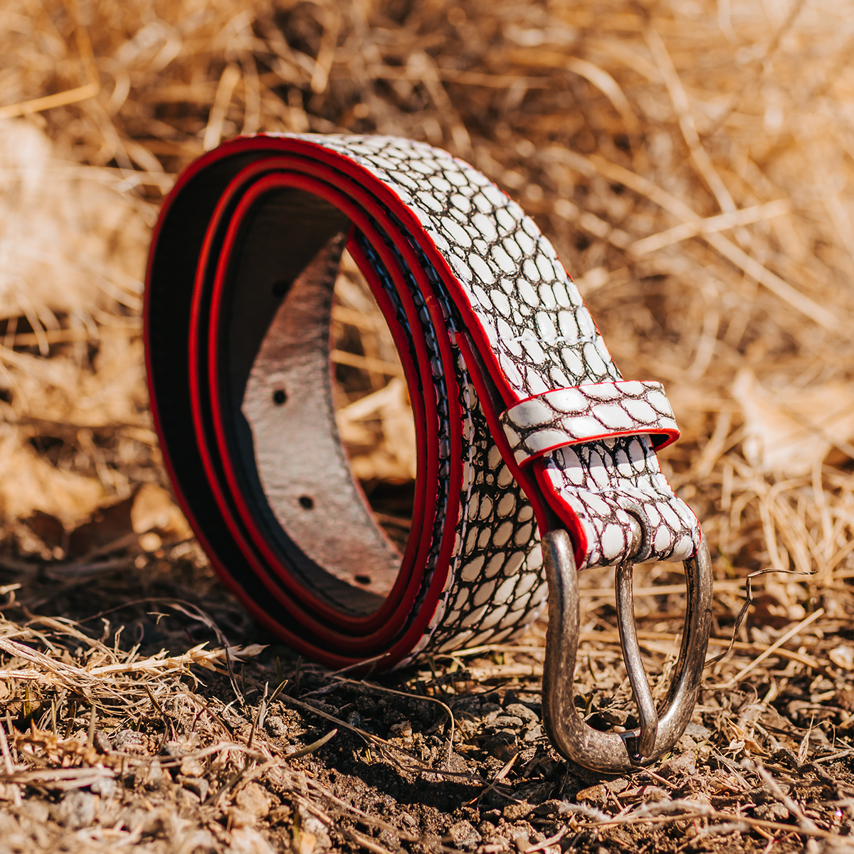 FREEBIRD Classic white croco full grain leather belt featuring silver buckle hardware