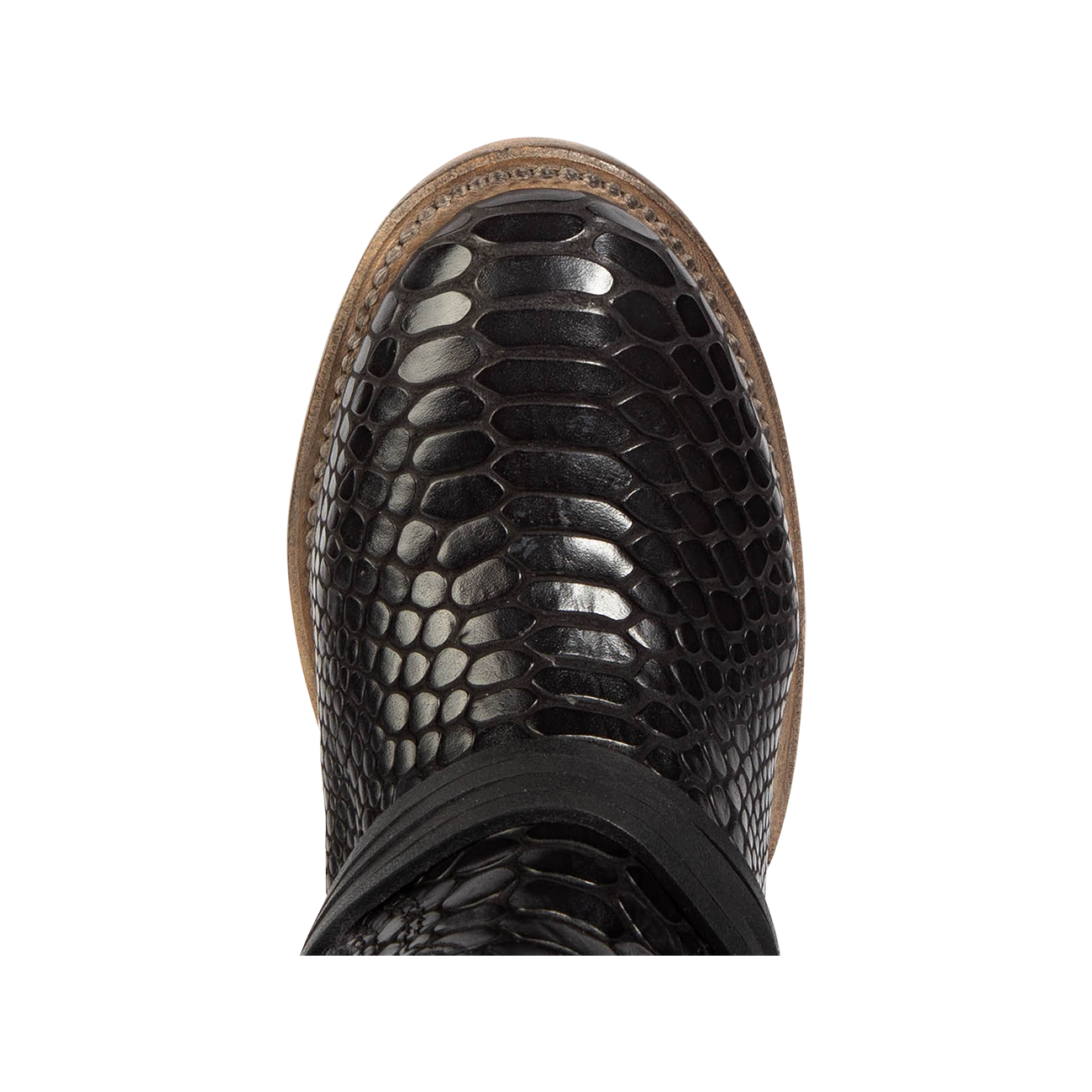 Top view showing round toe and leather ankle lacing on FREEBIRD women's Coal black snake tall boot