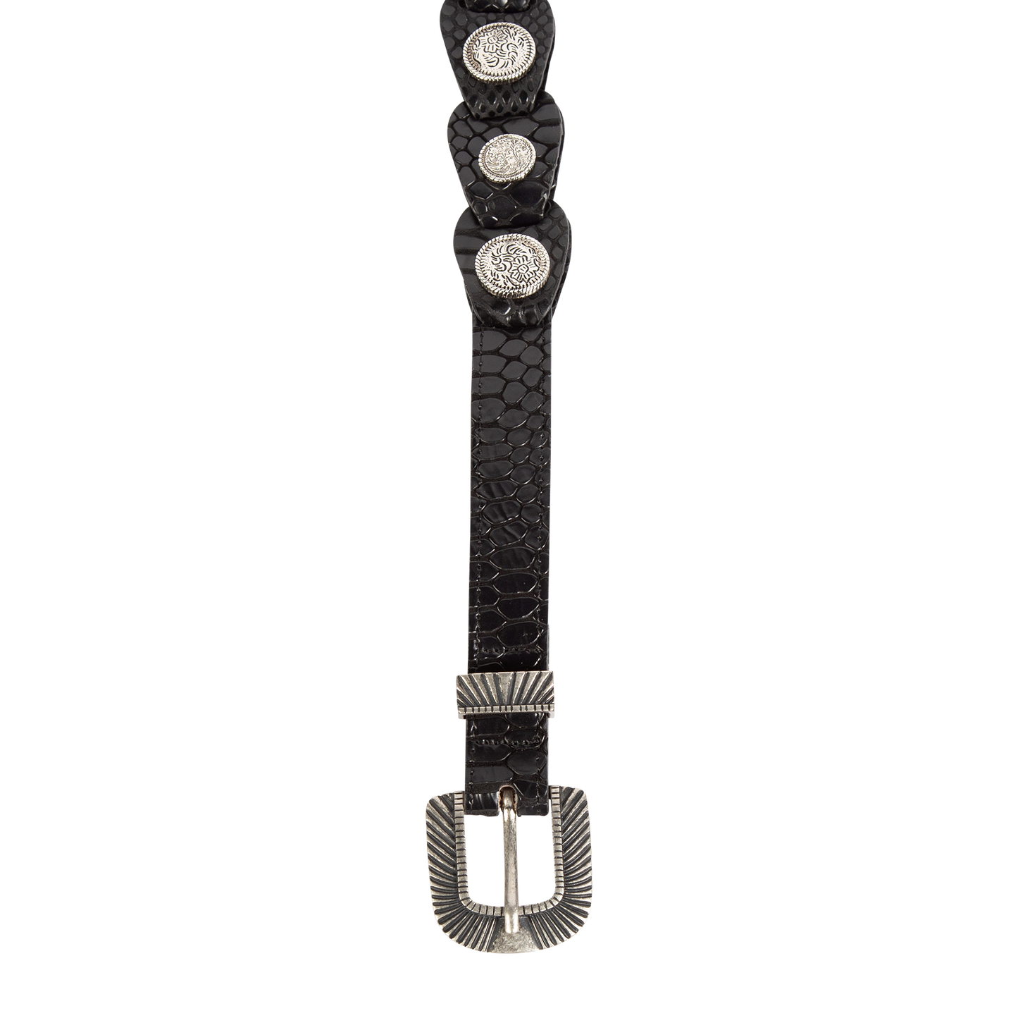 Coin black snake top view featuring full grain leather belt featuring rustic hardware and coin detailing on FREEBIRD full grain leather belt