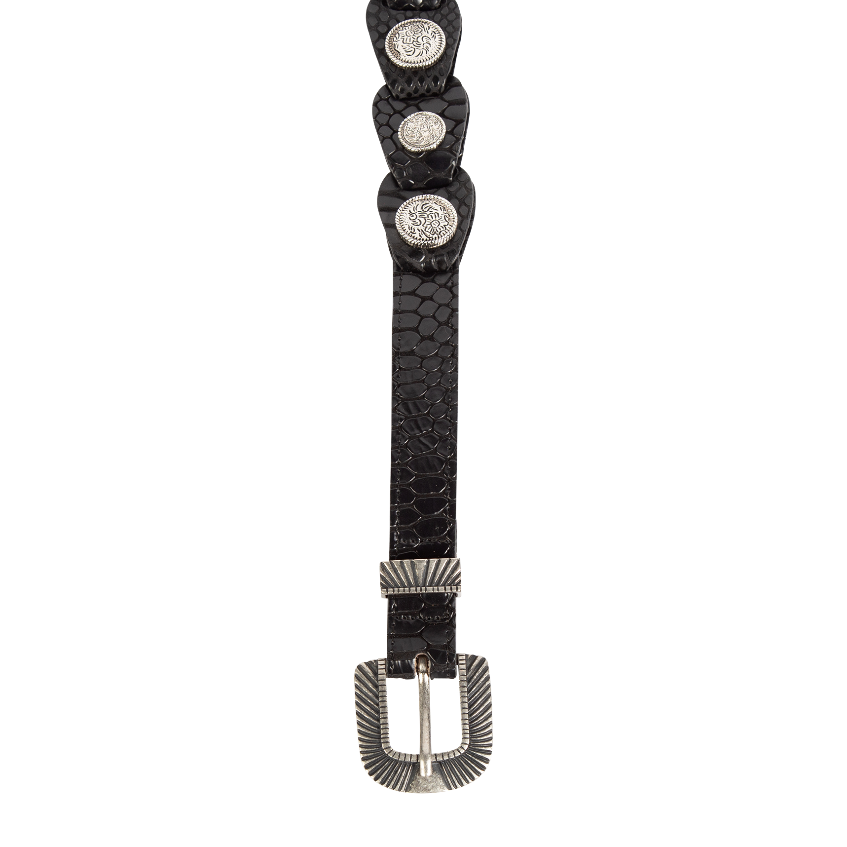 Coin black snake top view featuring full grain leather belt featuring rustic hardware and coin detailing on FREEBIRD full grain leather belt