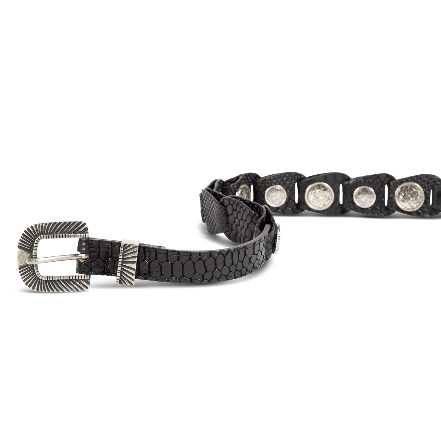 Coin black snake front view featuring full grain leather and rustic hardware and coin detailing on FREEBIRD full grain leather belt