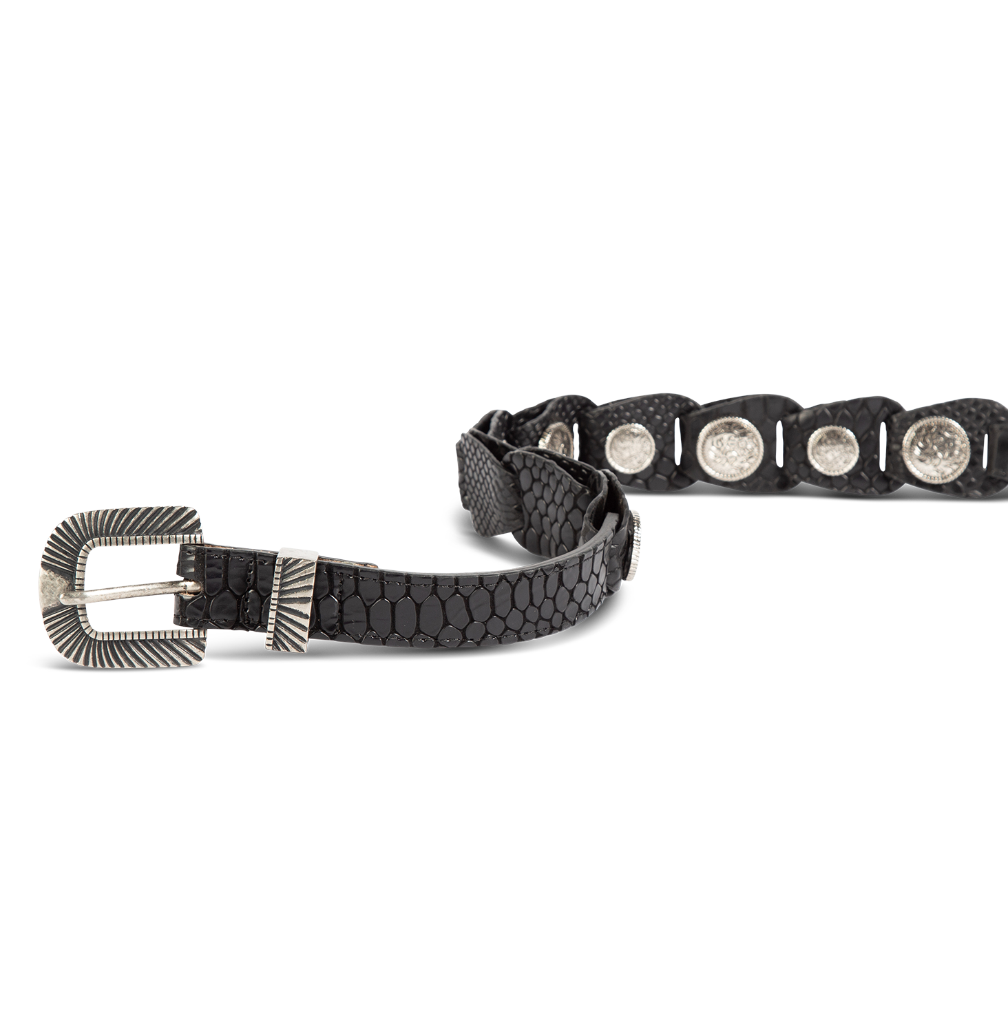 Coin black snake front view featuring full grain leather and rustic hardware and coin detailing on FREEBIRD full grain leather belt