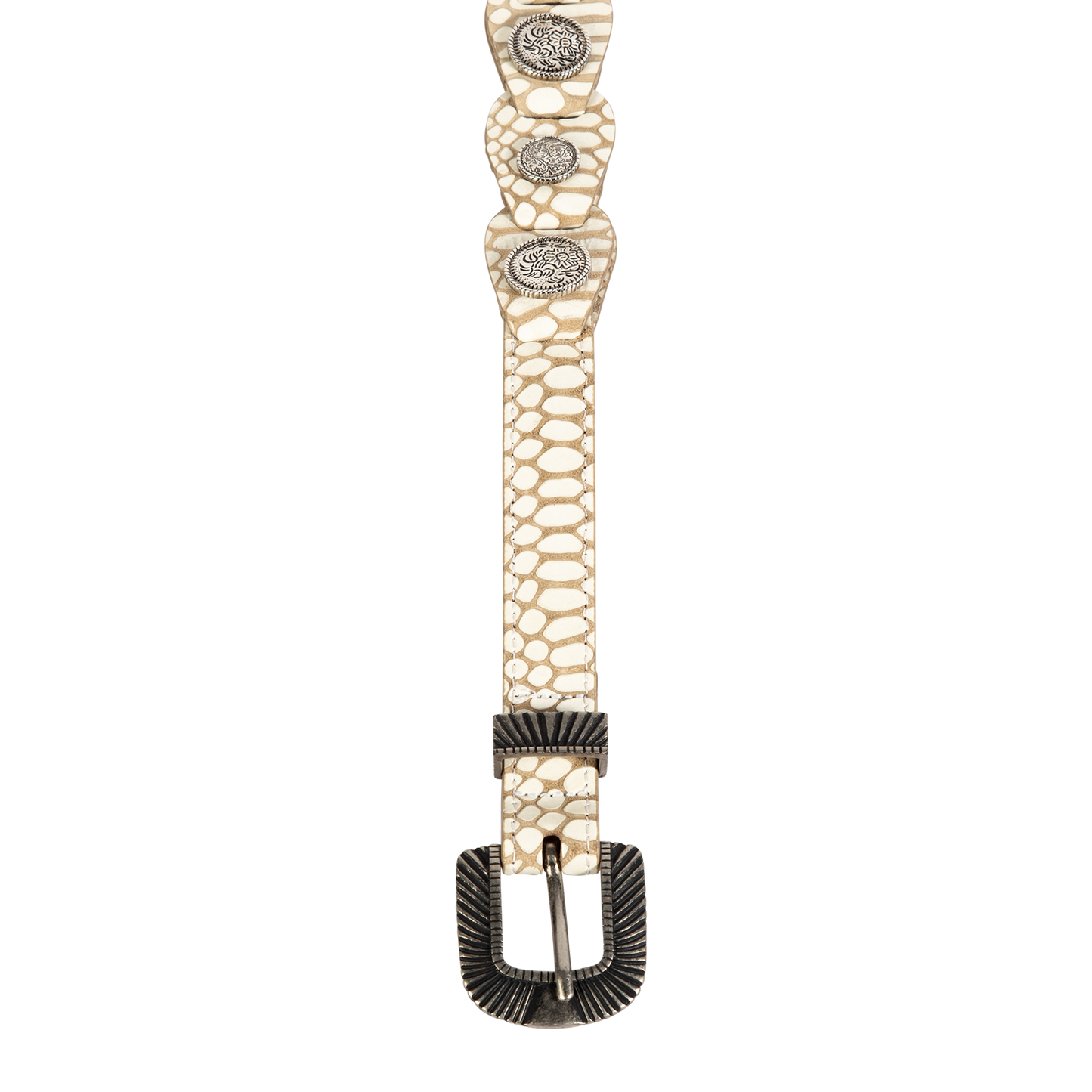Coin white snake top view featuring full grain leather belt featuring rustic hardware and coin detailing on FREEBIRD full grain leather belt